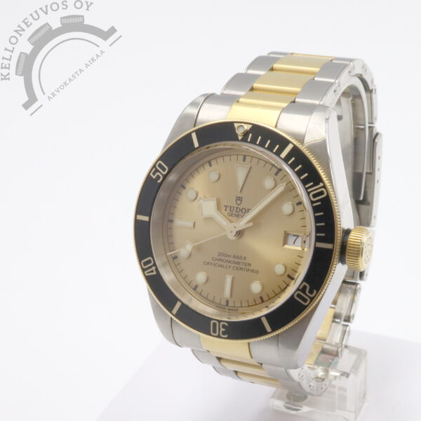 Tudor Black Bay S&G - Image 2