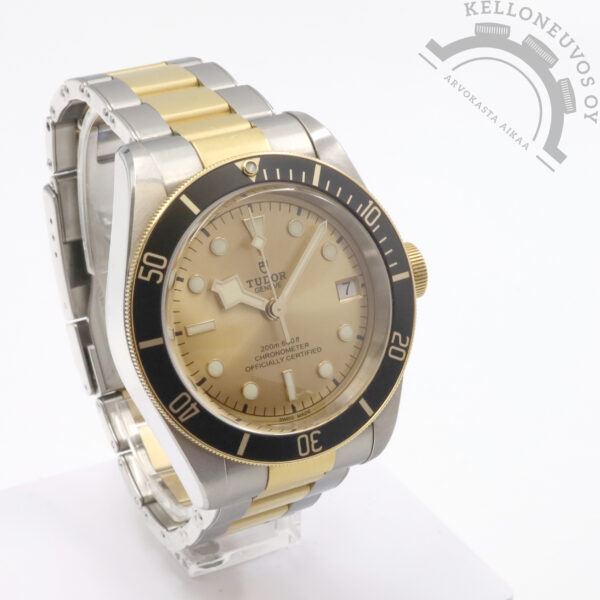 Tudor Black Bay S&G - Image 3